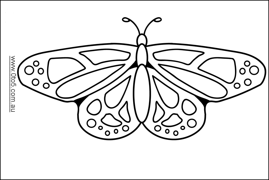 0to5 template butterfly1.3