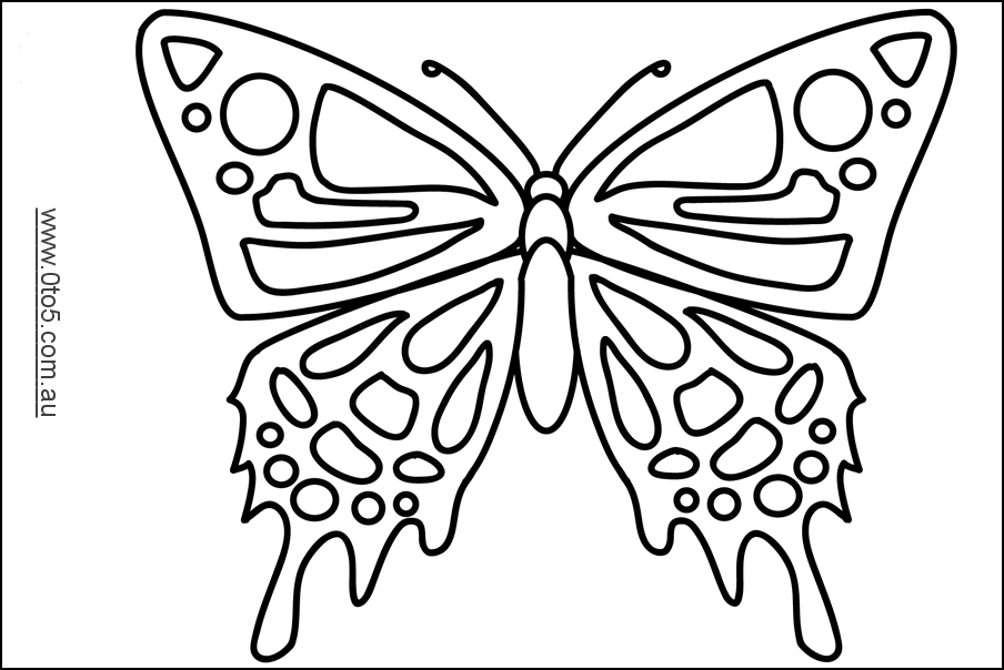 0to5 template butterfly2.3