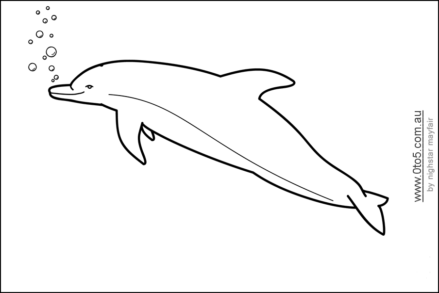 0to5 template dolphin
