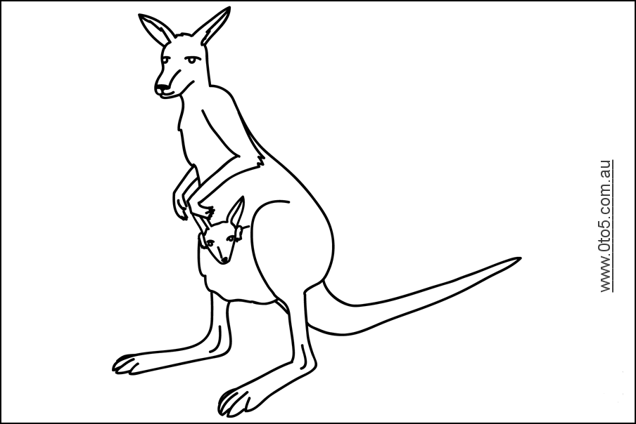 0to5 template kangaroo3