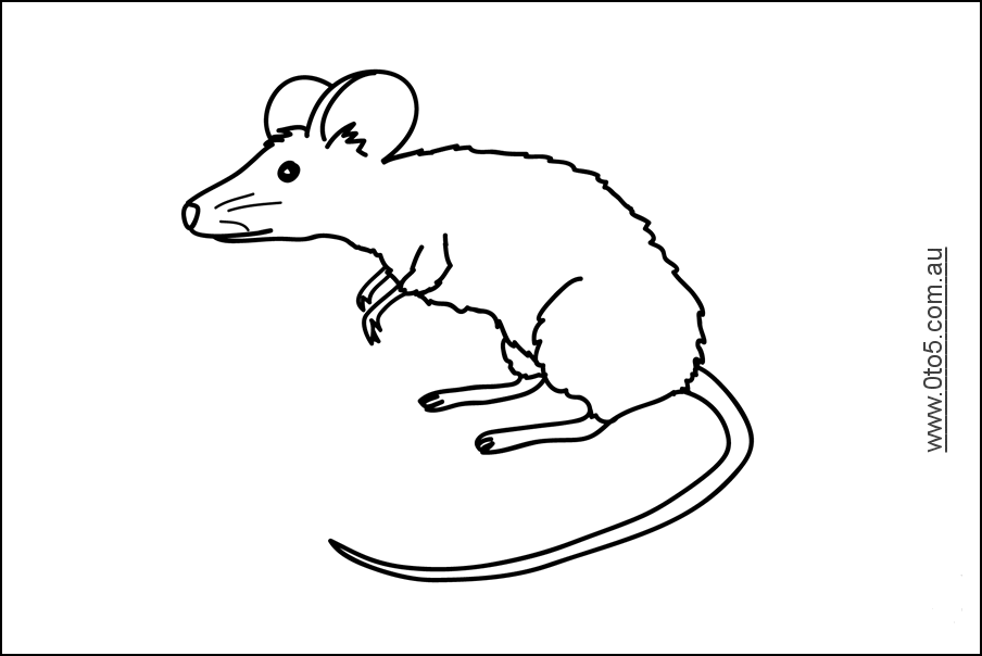 0to5 template mouse2