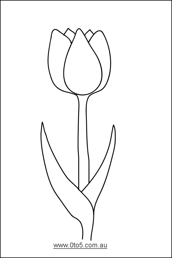 0to5 template tulip