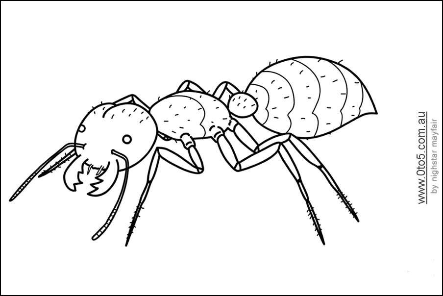 Ant printable template