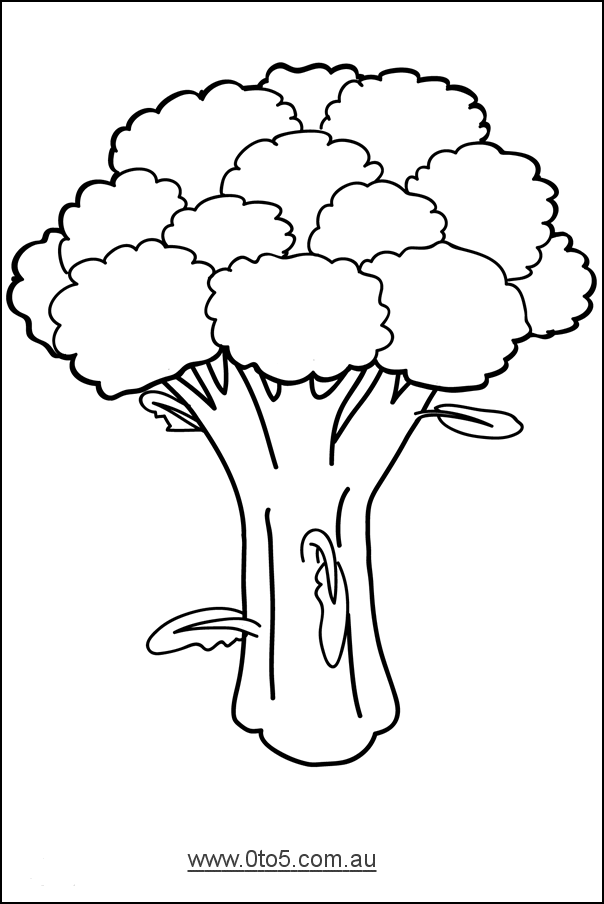 broccoli