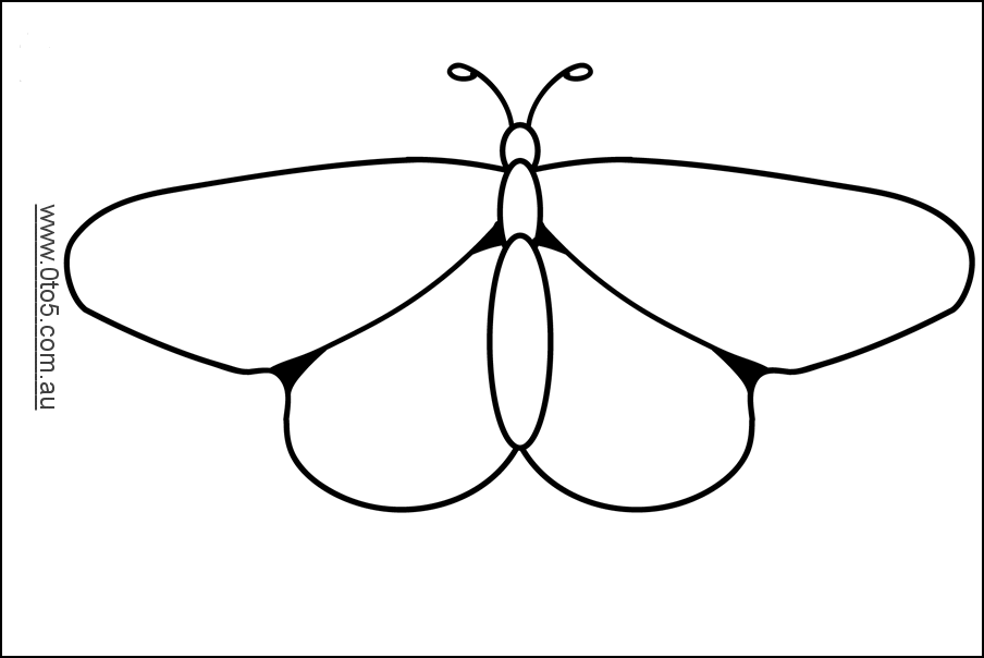 butterfly1.1