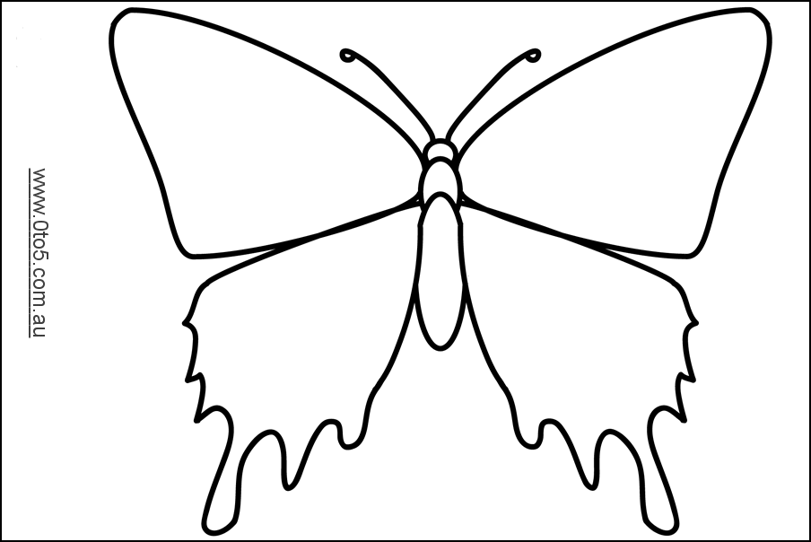 butterfly2.1