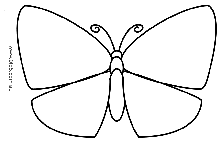 butterfly3.1