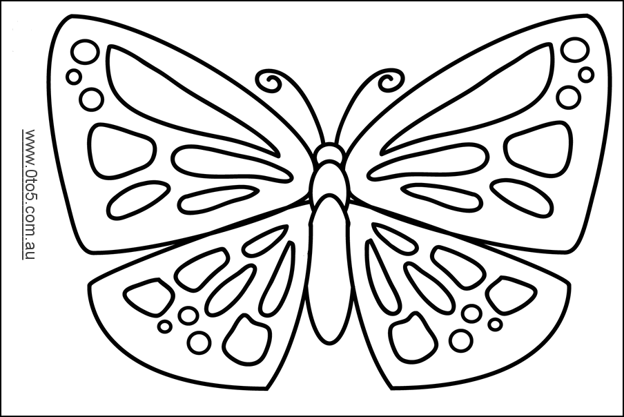 butterfly3.3