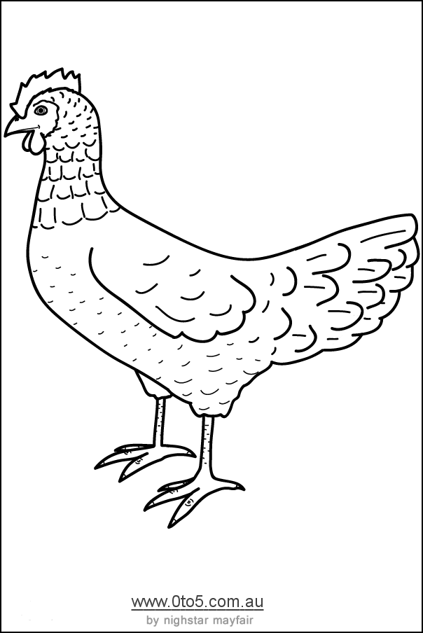 chicken