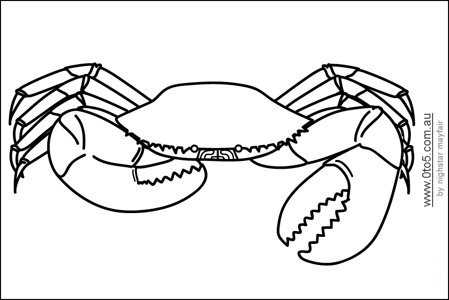 crab