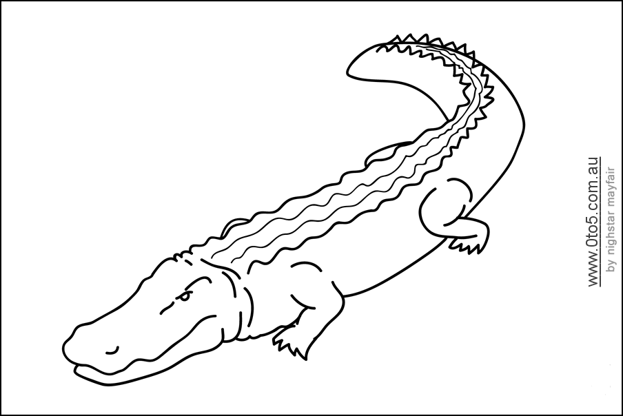 crocodile