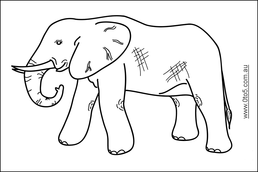 elephant2