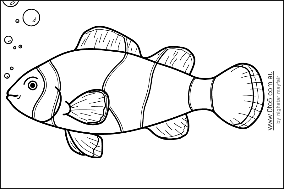0to5 template fish