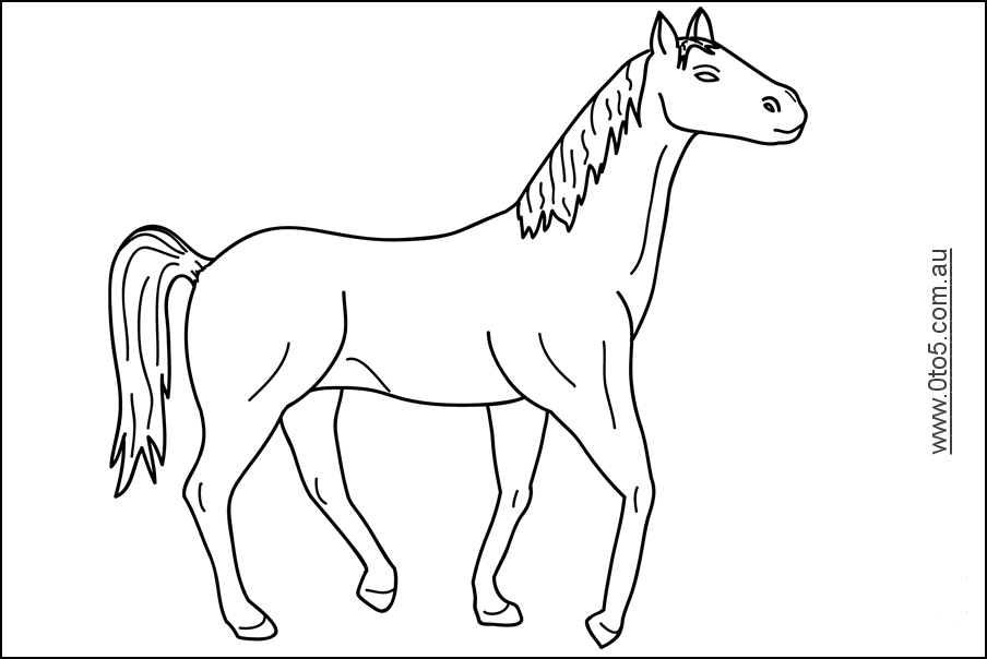 horse