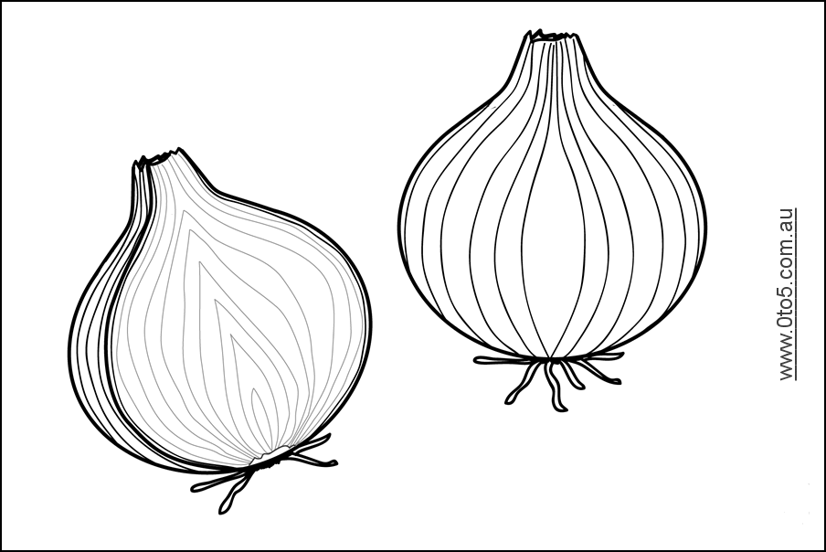 Onion printable template