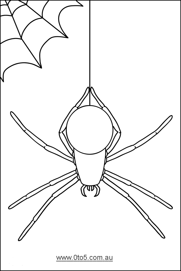 0to5 template spider