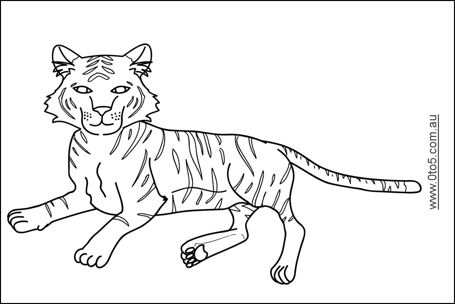 tiger