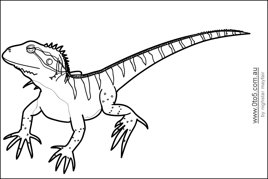 Australian Water Dragon printable template