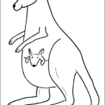 Kangaroo thumbnail