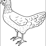 Chicken or Hen thumbnail