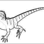 Australian Water Dragon thumbnail