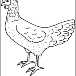 Chicken or Hen thumbnail