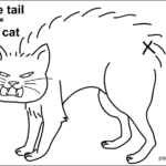 Pin the tail on the black cat thumbnail