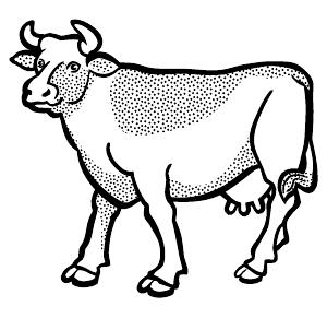 Cow template thumbnail