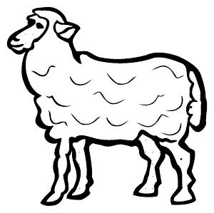 Sheep template thumbnail